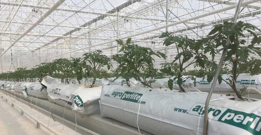 AUXILIARY GREENHOUSE SYSTEMS