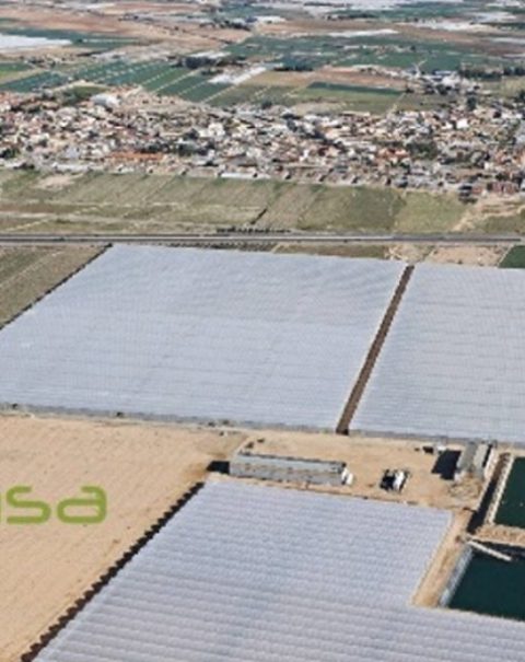 Coinsa-Turkmenistan2-galeri1