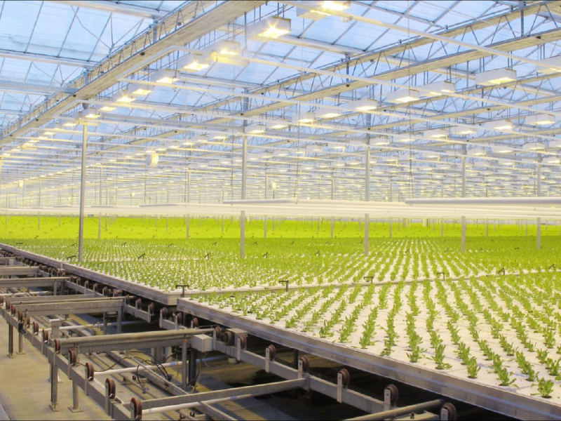 GreenHouse-Lightning-Services-1