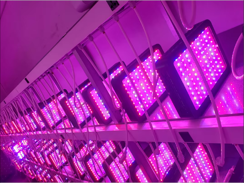 GreenHouse-Lightning-Services-4