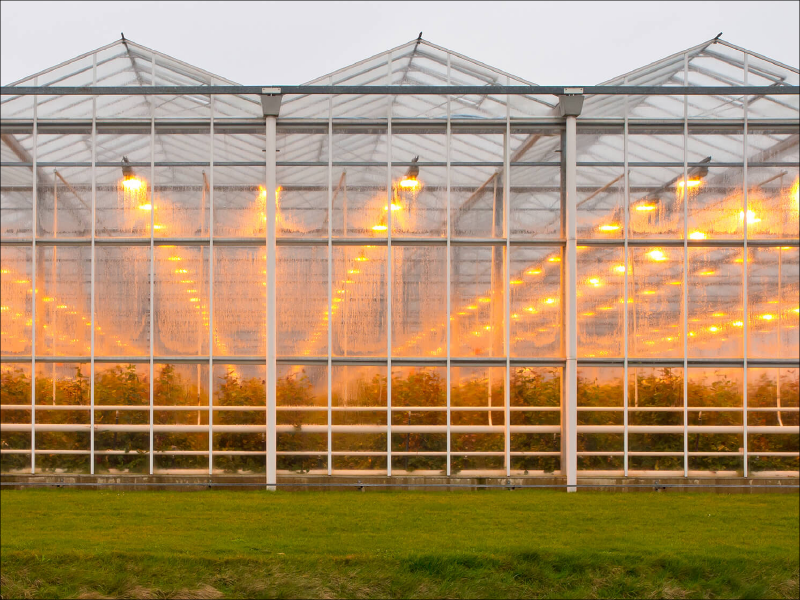 GreenHouse-Lightning-Services-5