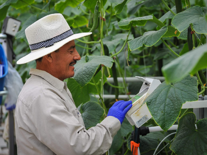 GreenHouse-Production-Tools-Management-1
