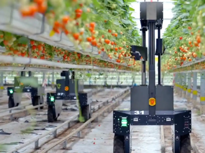 GreenHouse-Production-Tools-Management-4