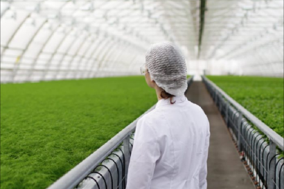 GreenHouse-Production-Tools-Management-header
