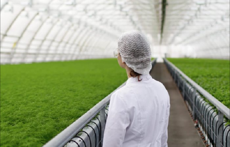 GreenHouse-Production-Tools-Management-header