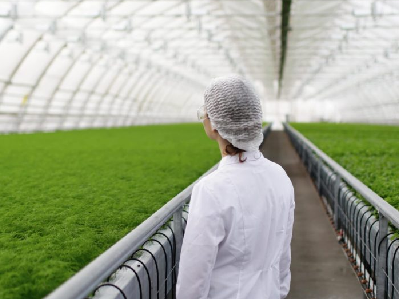GreenHouse-Production-Tools-Management-header GreenHouse-Production-Tools-Management-header