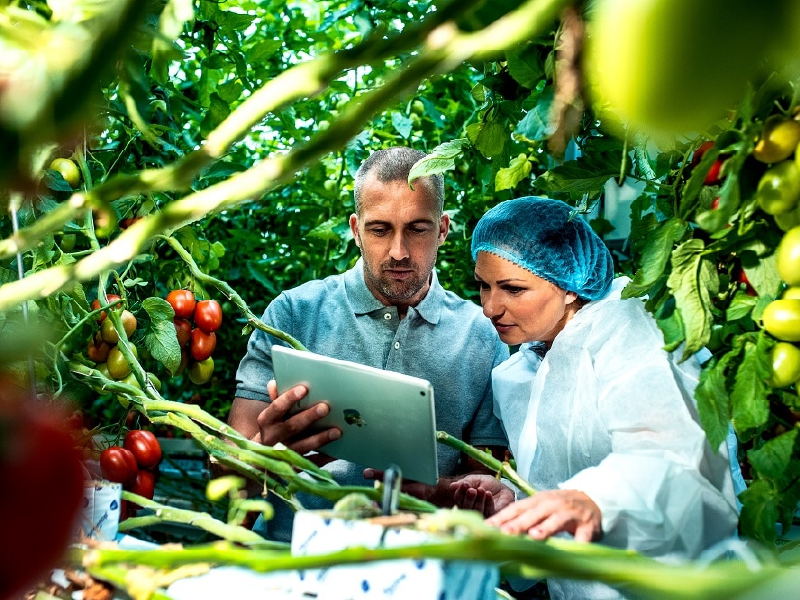 GreenHouse-Production-Tools-Management