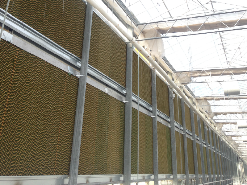 Greenhouse-Cooling-Systems-3
