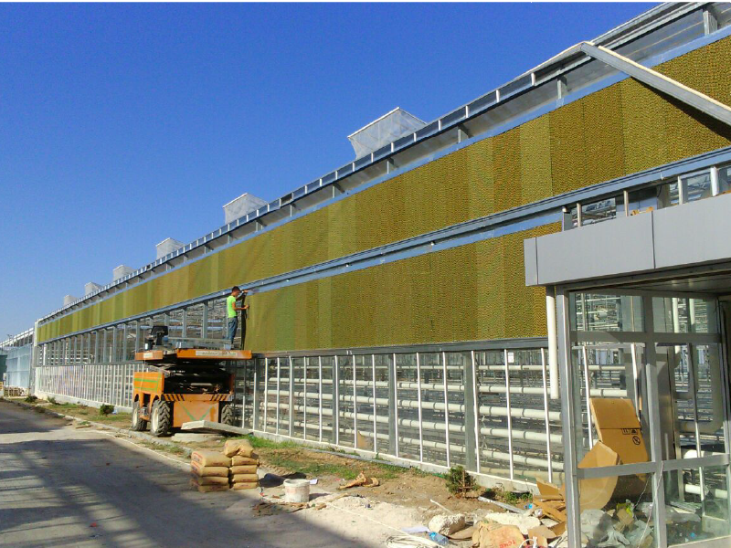 Greenhouse-Cooling-Systems-4