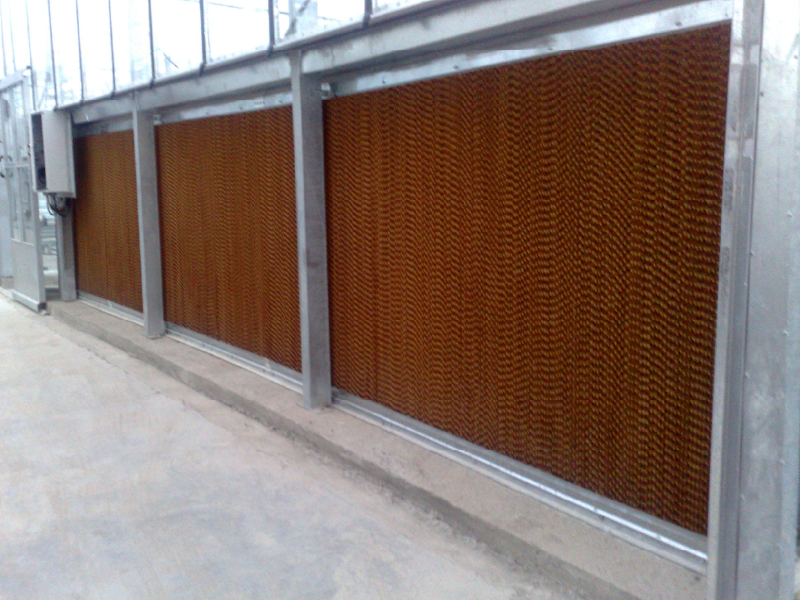 Greenhouse-Cooling-Systems-5