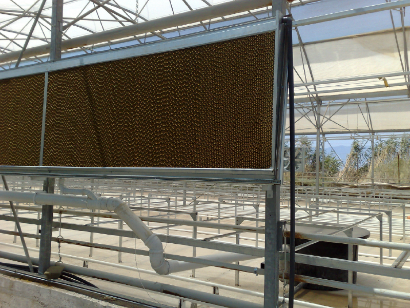Greenhouse-Cooling-Systems-6