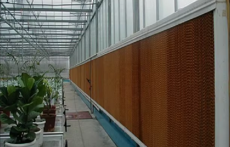 Greenhouse-Cooling-Systems-Header