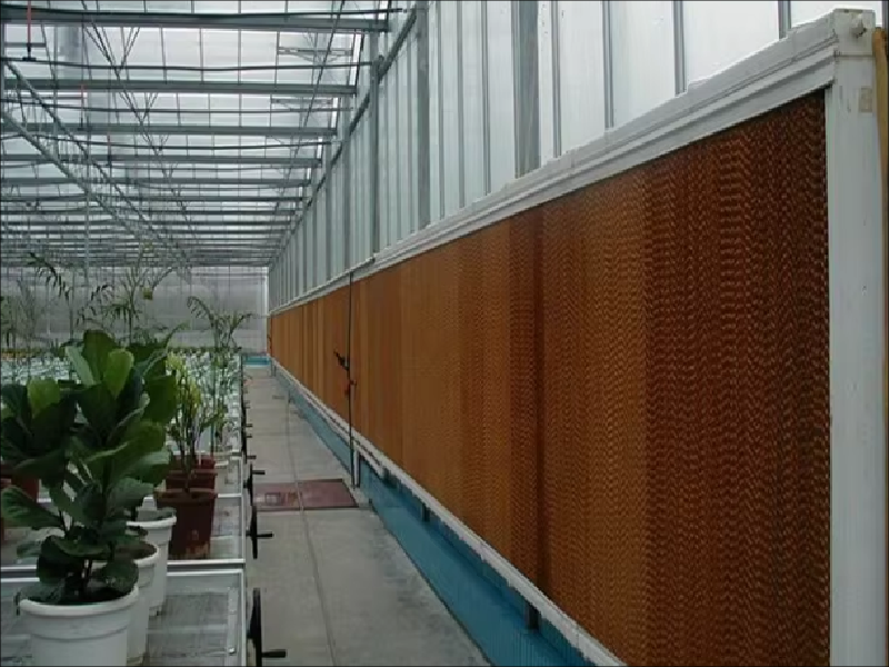 Greenhouse-Cooling-Systems-Header Greenhouse-Cooling-Systems-Header