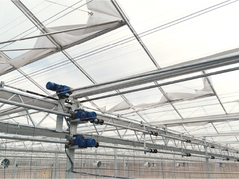 Greenhouse-Thermal-Screen-Systems-3