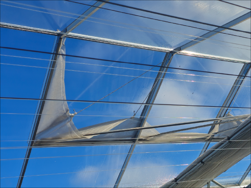 Greenhouse-Ventilation-Systems-5