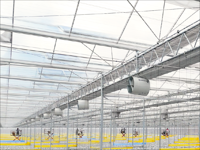 Greenhouse-Ventilation-Systems-6