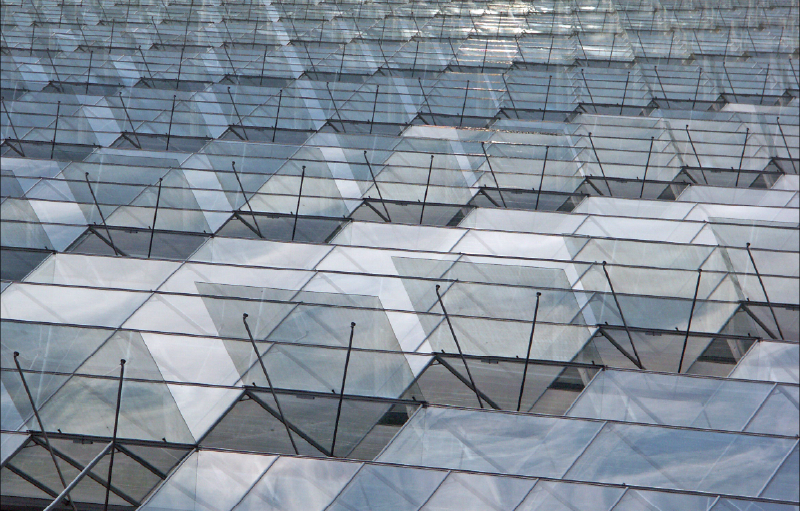 Greenhouse-Ventilation-Systems