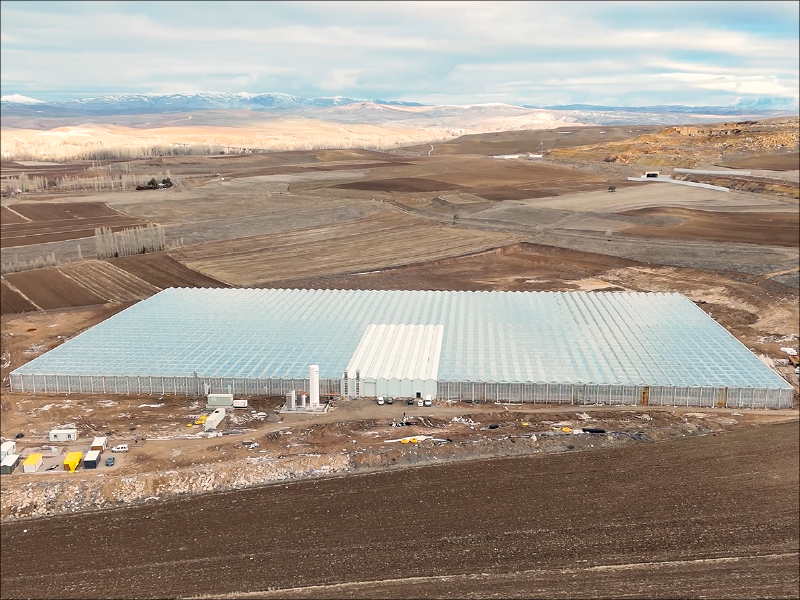 Greenhouse-construction-1