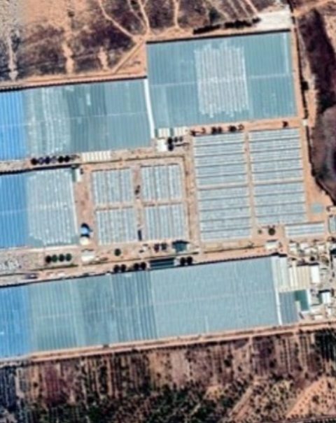 LCS-project-1