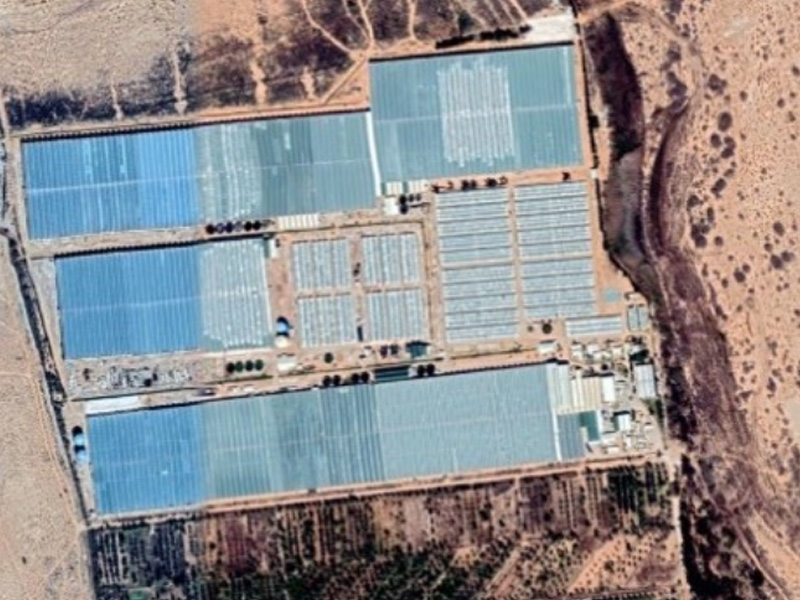 LCS-project-1