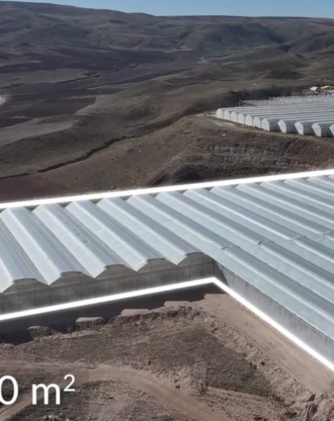 Turnkey-Gothic-Greenhouse-Project-7