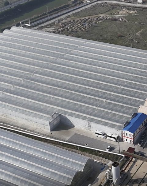 Turnkey-plastic-greenhouse-1