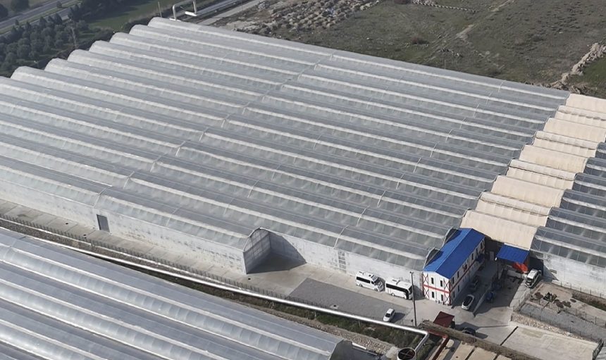 Turnkey-plastic-greenhouse-1