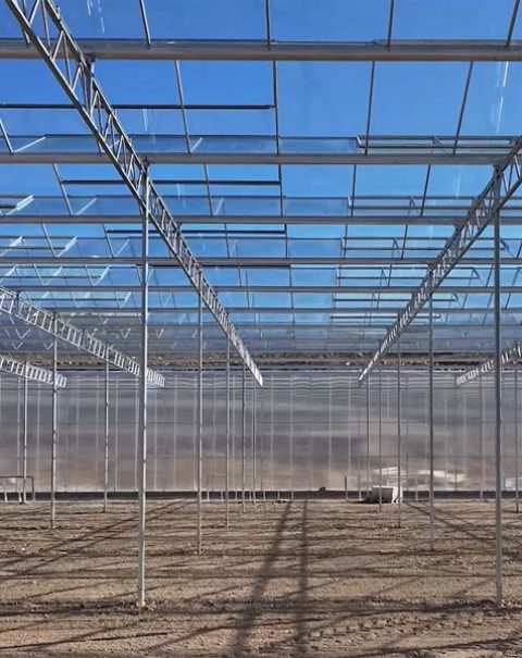 venlo-project