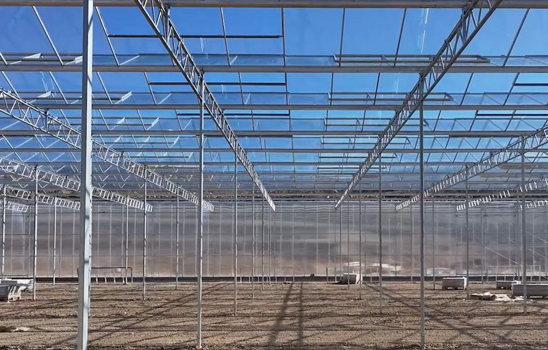 venlo-project