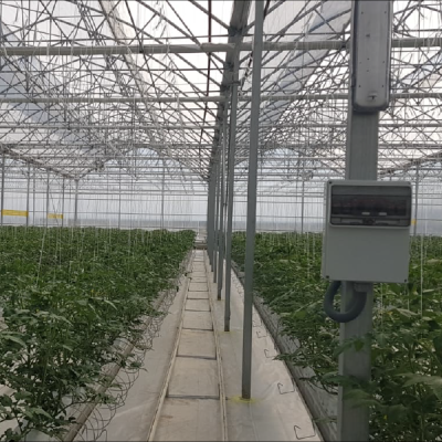 GreenHouse-Electrical-Automation-Systems-5