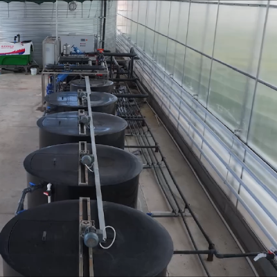 Keyway-Greenhouse-Irrigation-Systems-4