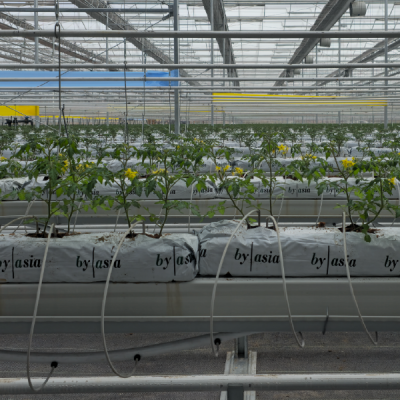 Keyway-Greenhouse-Irrigation-Systems-6