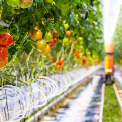 Keyway-Irrigation-Systems (2)