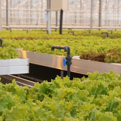 Keyway-Irrigation-Systems (4)